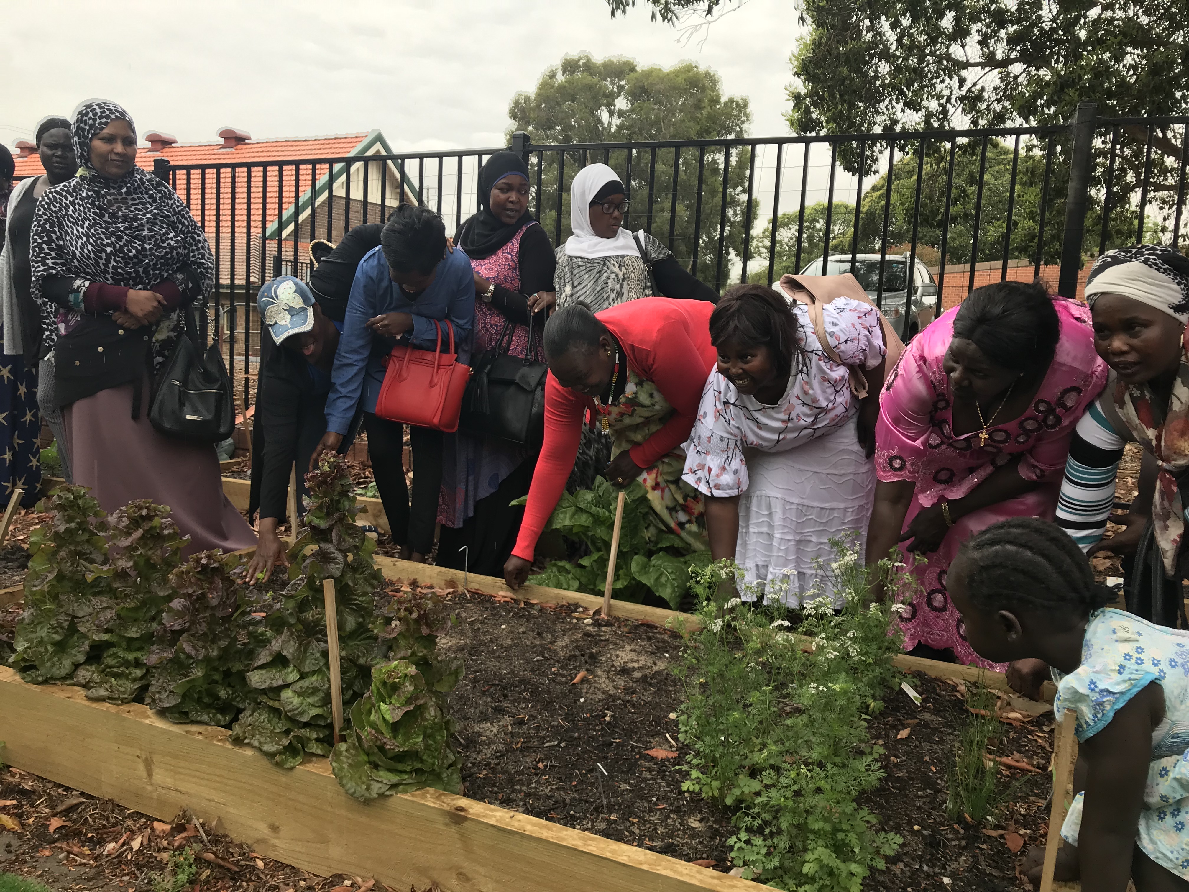 Community Garden After (2)